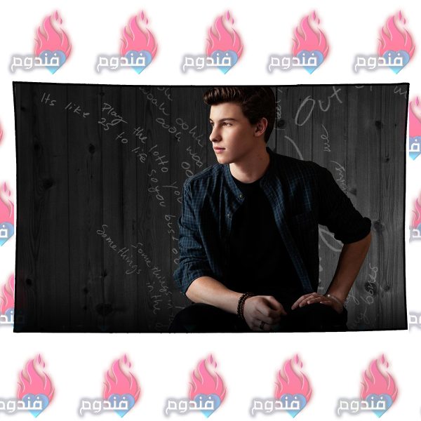 بکدراپ طرح Shawn Mendes