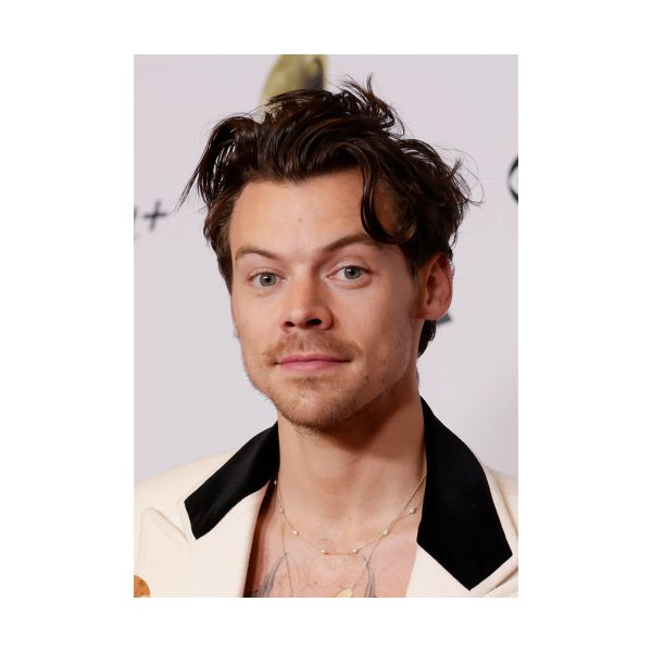 پستر گلاسه طرح Harry Styles