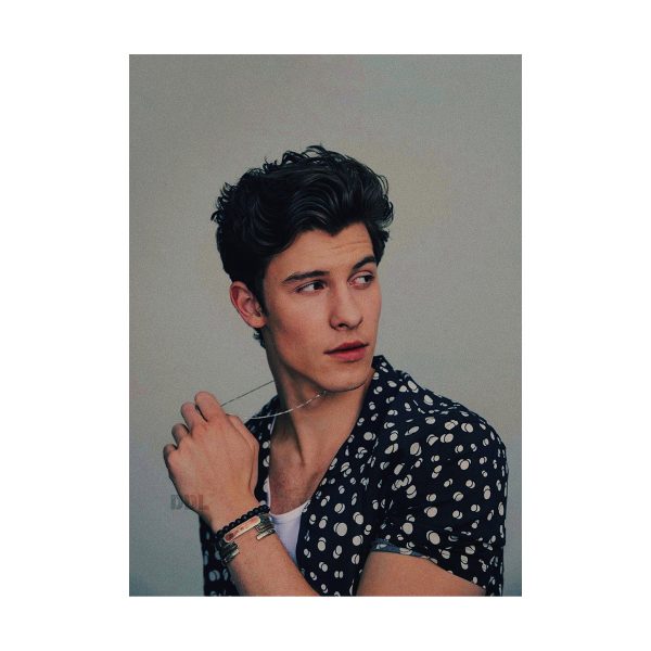 پستر گلاسه طرح Shawn Mendes