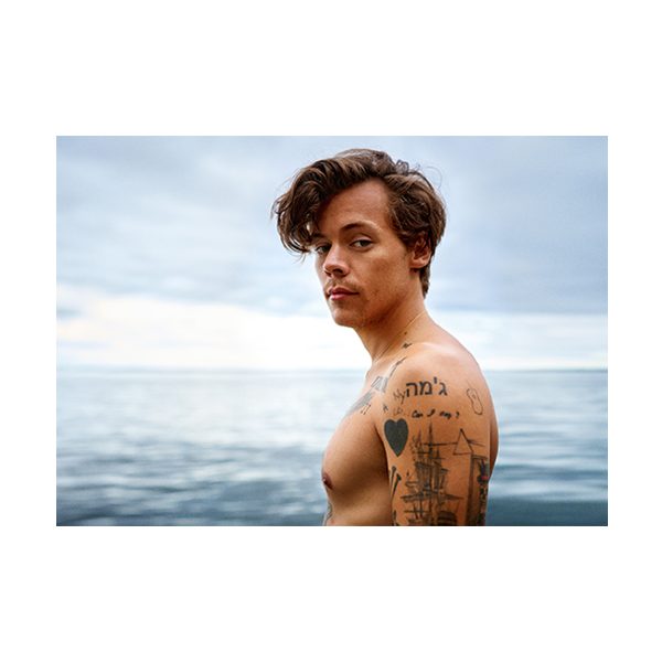 پستر گلاسه طرح Harry Styles