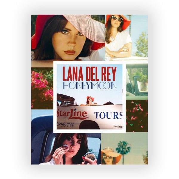 پوستر گلاسه طرح LANA DEL REY کد10