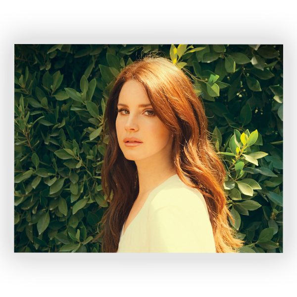 پوستر گلاسه طرح LANA DEL REY کد11