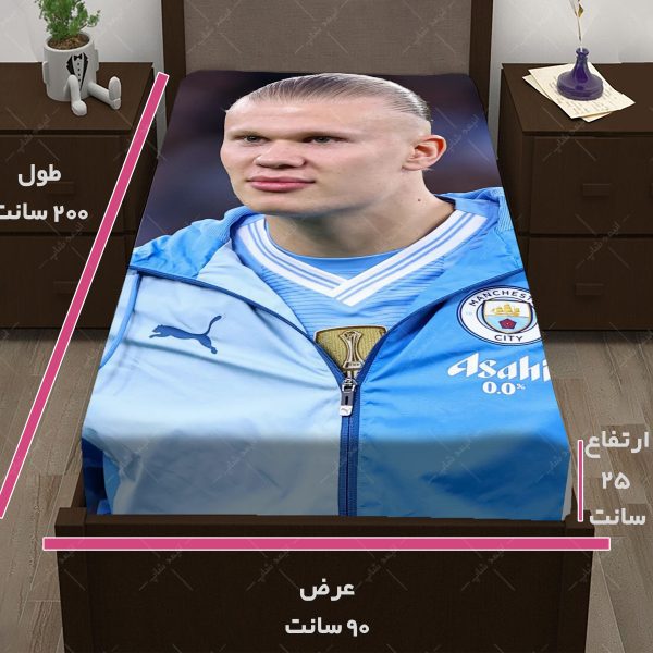 روتختی طرح هالند کد 010