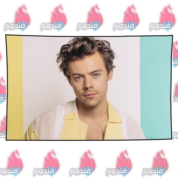 بکدراپ طرح Harry Styles