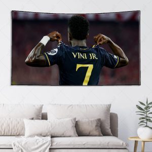 بکدراپ طرح وینیسیوس کد 002