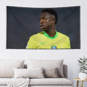 بکدراپ طرح وینیسیوس کد 003