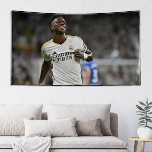 بکدراپ طرح وینیسیوس کد 004