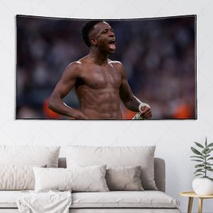 بکدراپ طرح وینیسیوس کد 005