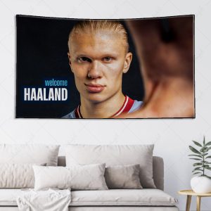 بکدراپ طرح هالند کد 013