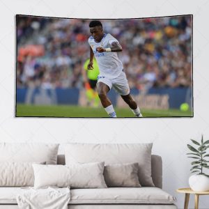 بکدراپ طرح وینیسیوس کد 008