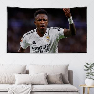 بکدراپ طرح وینیسیوس کد 001