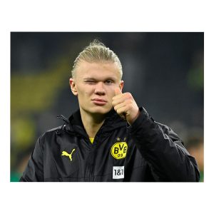 قاب MDF طرح هالند کد 016